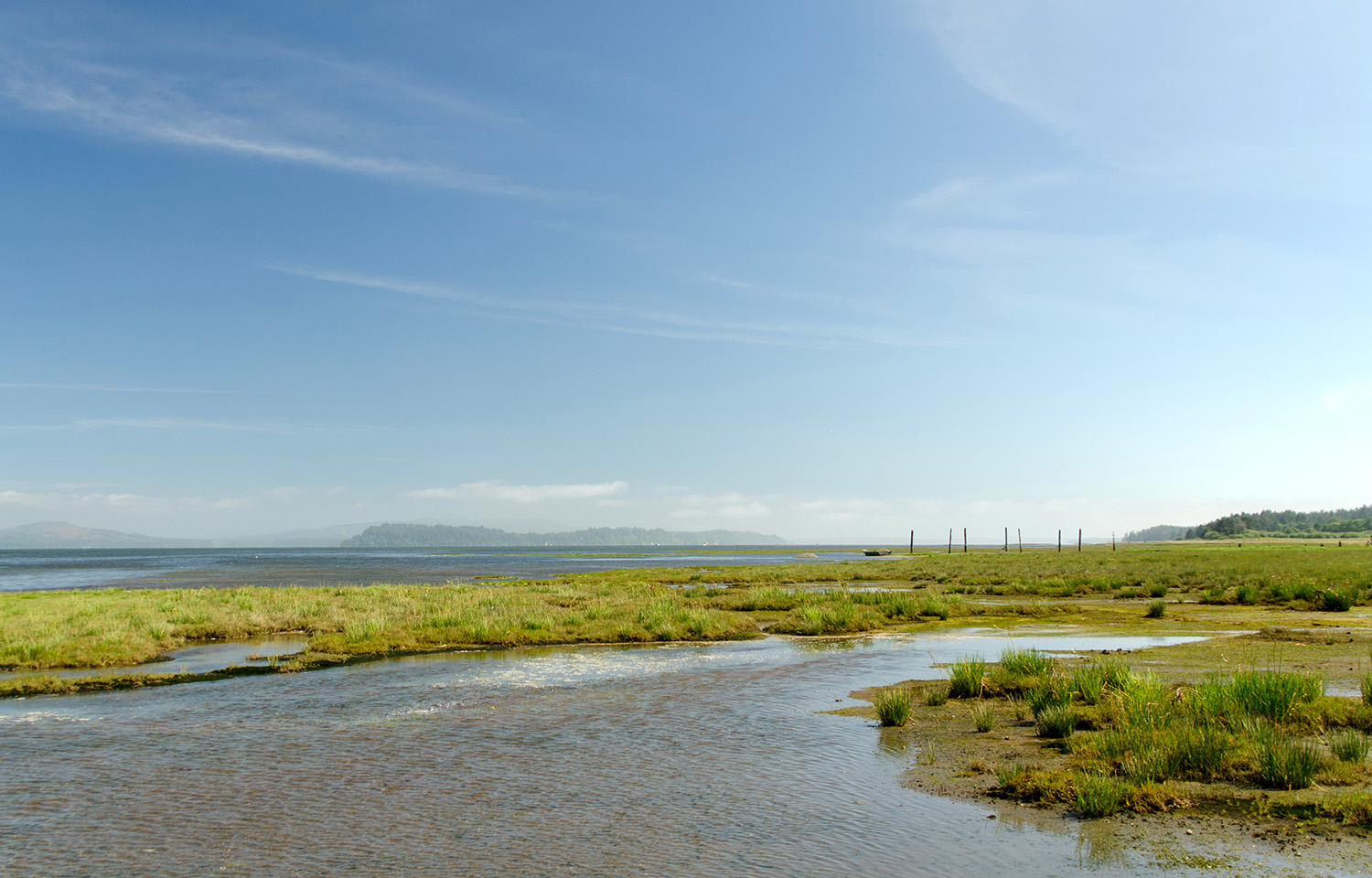 Willapa Bay, Washington, U.S.A.