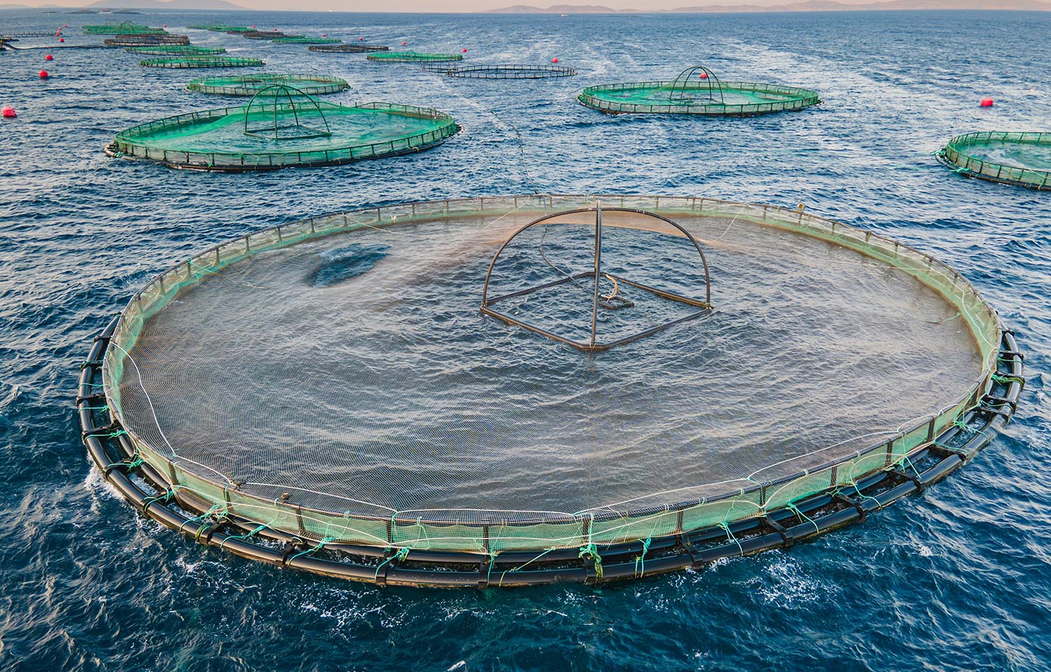 Offshore aquaculture advocates ask US lawmakers to invest USD 42 million in research and development