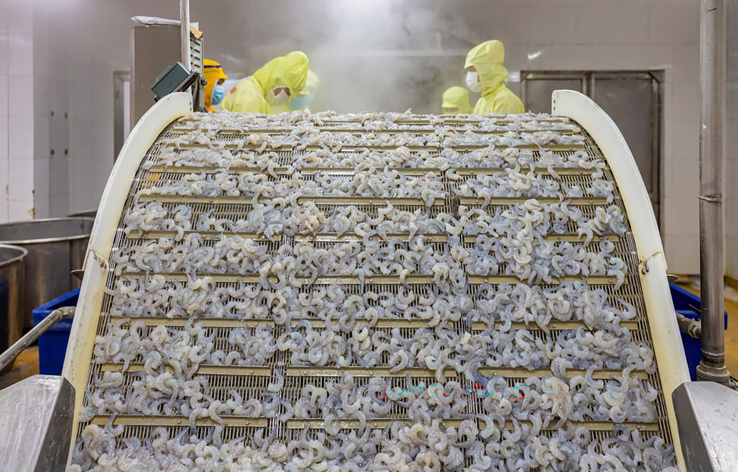 A shrimp processing facility in Vietnam