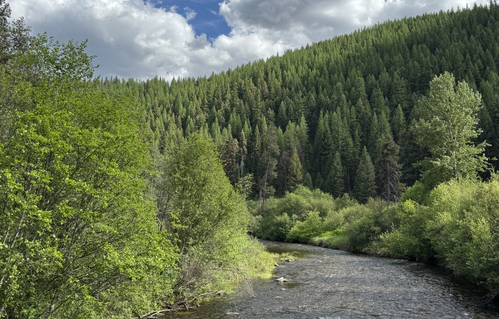 Lolo Creek