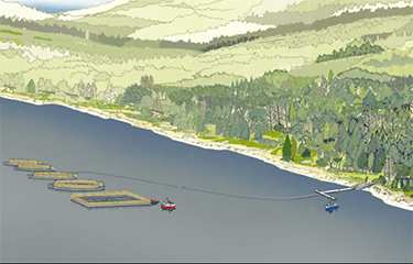 An artist's rendering of what the Loch Long Salmon facility in Loch Long would look like.