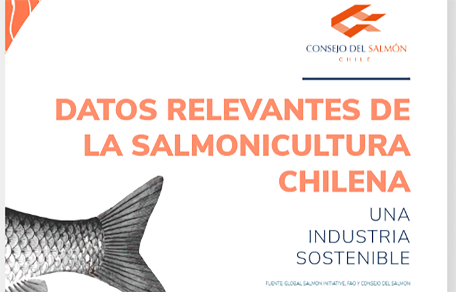The cover of the Chile Salmon Council's new e-book