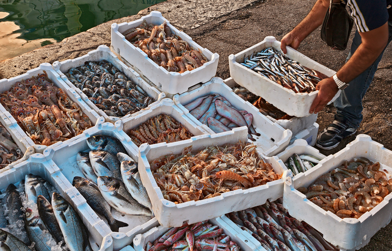 Europe imported, exported less seafood in 2024 as trade deficit narrowed