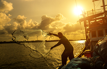 A fisherman throws a net off a crab boat in Vietnam.