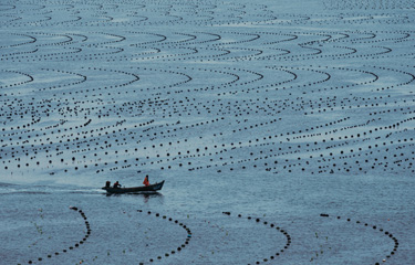Aquaculture in China