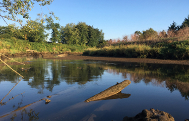 Washington-based seafood processor fined for wastewater violations