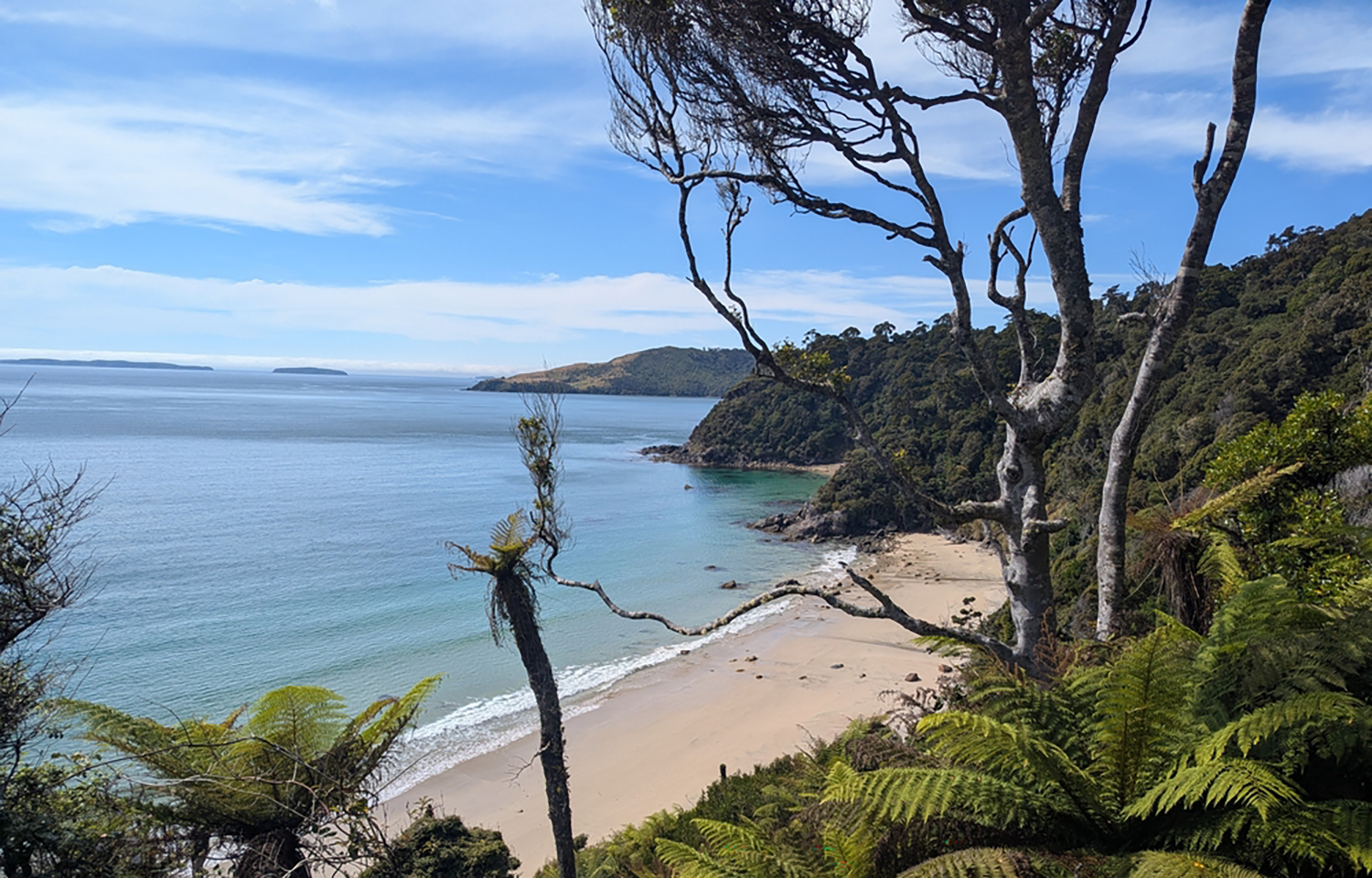 Stewart Island, New Zealand