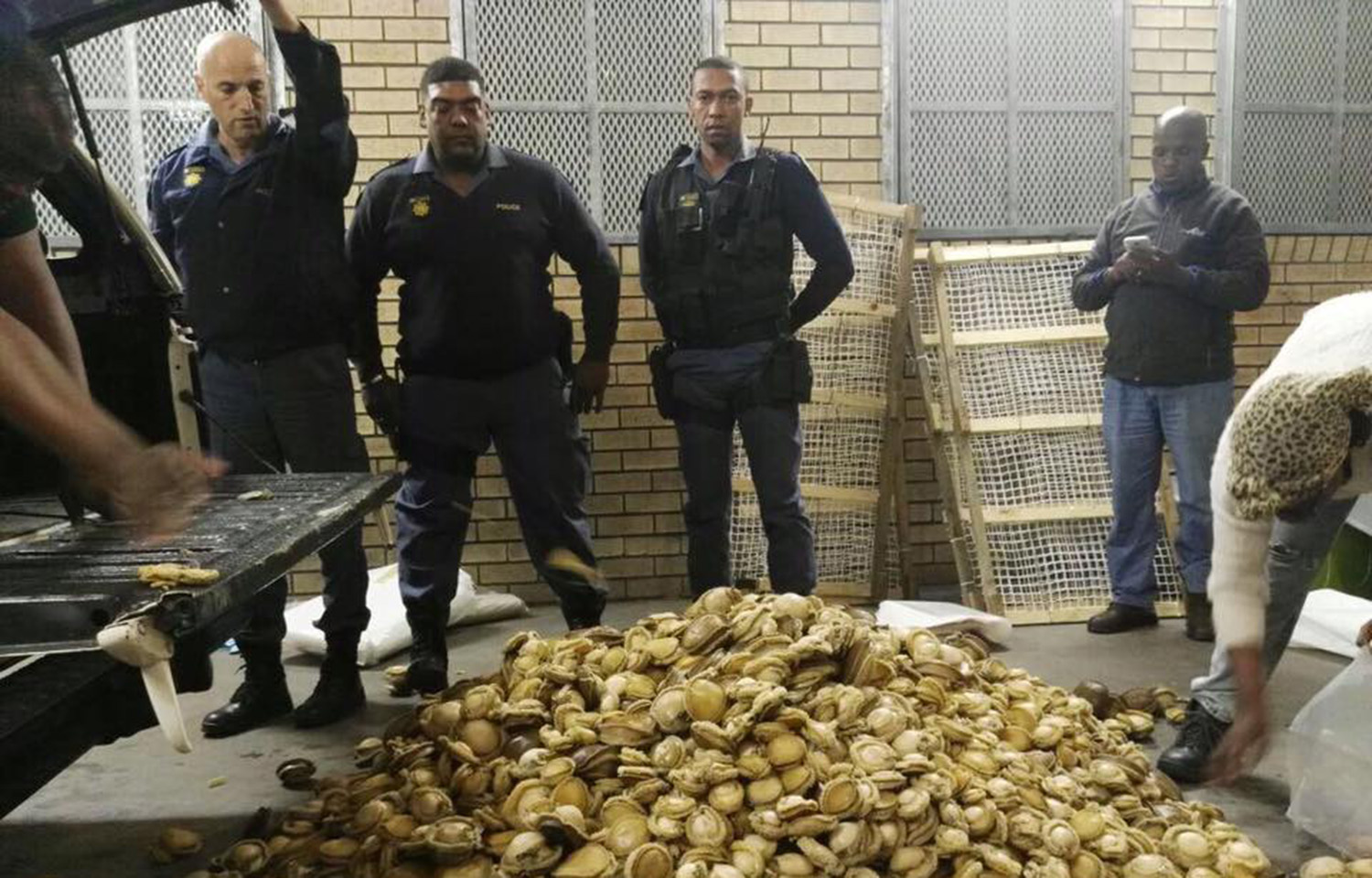 A group of five South African police officers standing over a pile of confiscated abalone