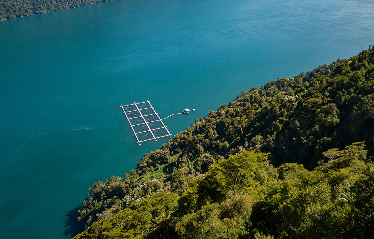 A fish farm in southern Chile