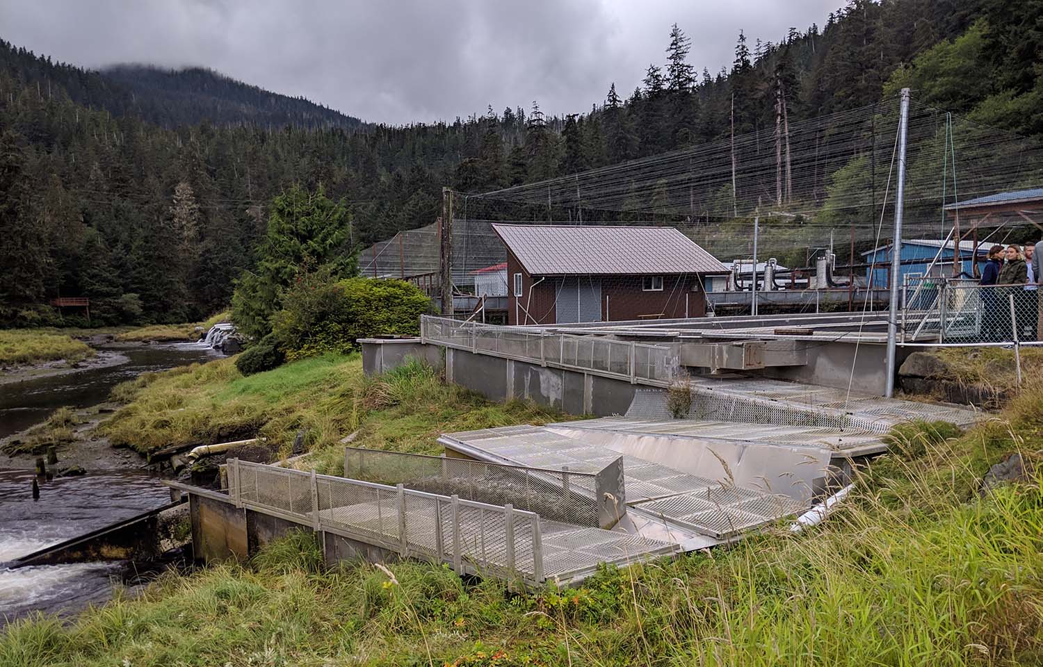 A salmon hatchery located in Ketchikan, Alaska
