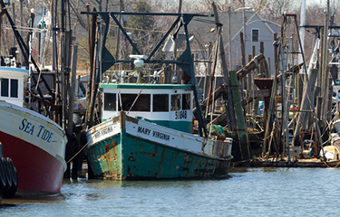 A row of fishing boats lining a dock in New Jersey