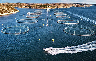 A Masoval aquacultuer