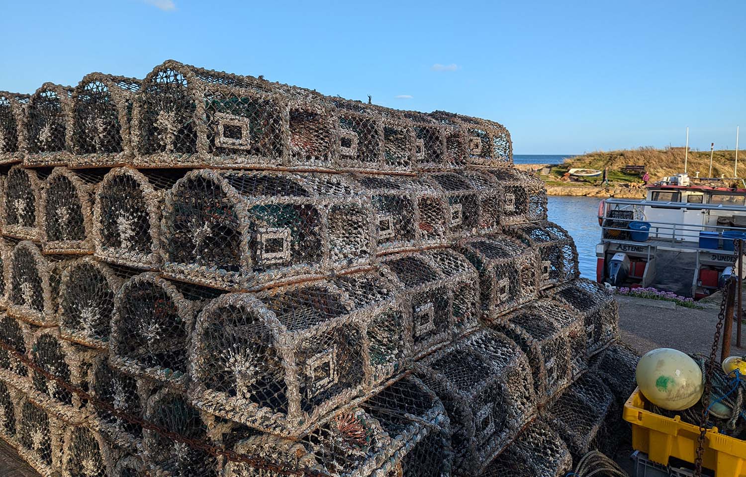 UK seeking proposals for GBP 132 million in funding for fishing and seafood industry