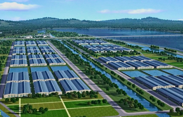 Sino Agro Foods is facing dire financial straits as it has reported significant write-offs and debt.