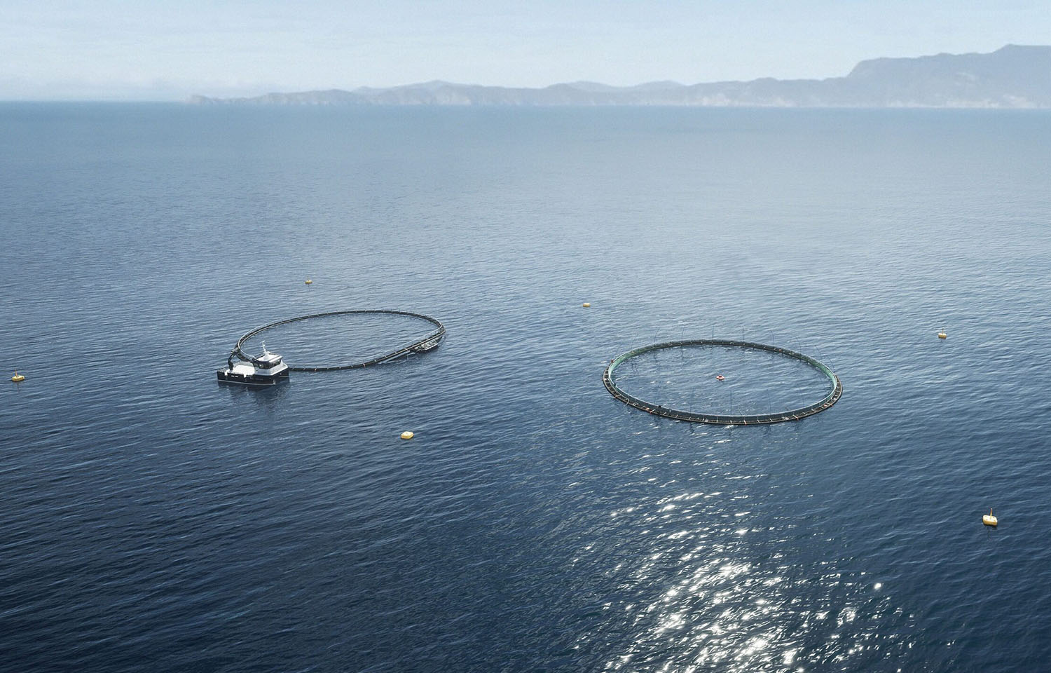 A digital rendering of New Zealand King Salmon's Blue Endeavor project