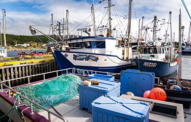 Canadian government providing CAD 25 million investment to Newfoundland's seafood  industry