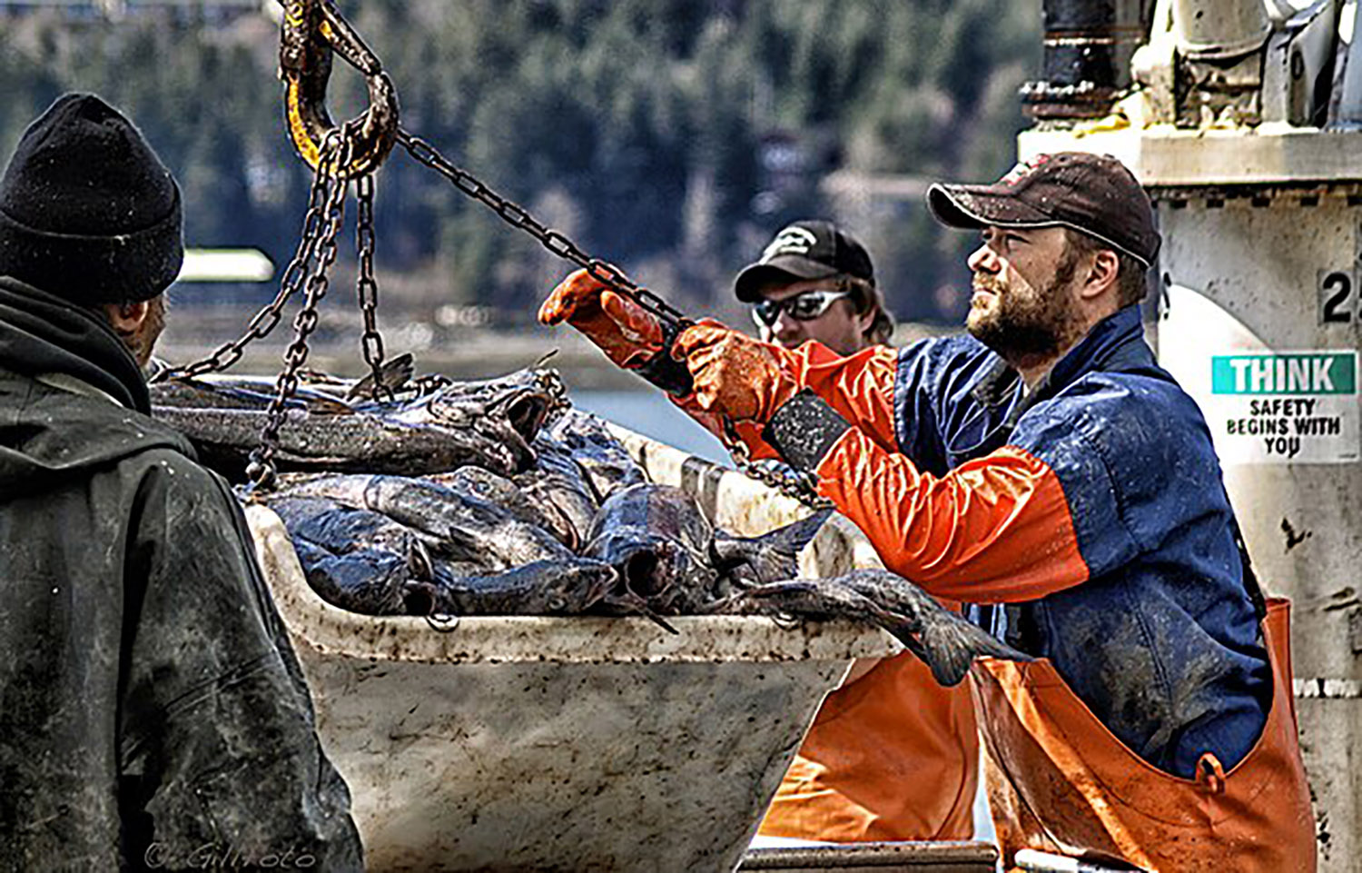 Alaska sablefish fishers