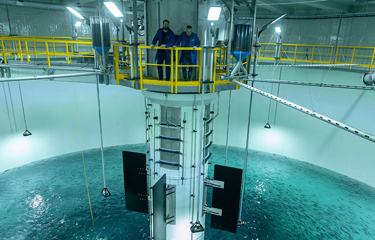 Salmon Evolution releases first smolt at flow-through farm, partners ...