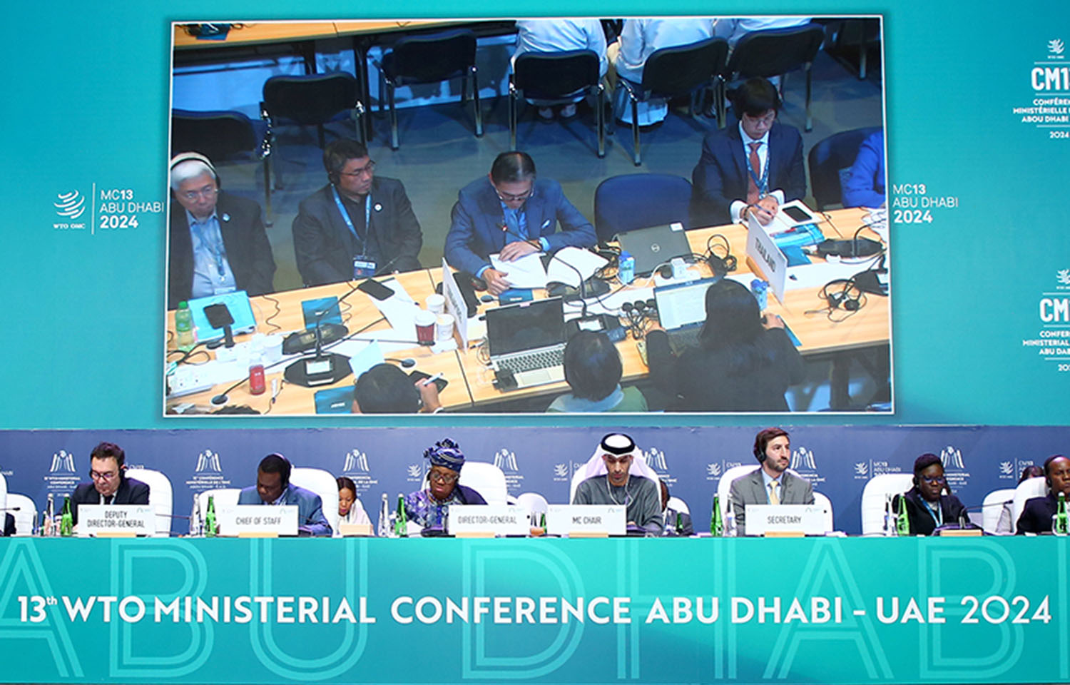 Negotiations on fishery subsidies at the WTO's 13th Ministerial Conference