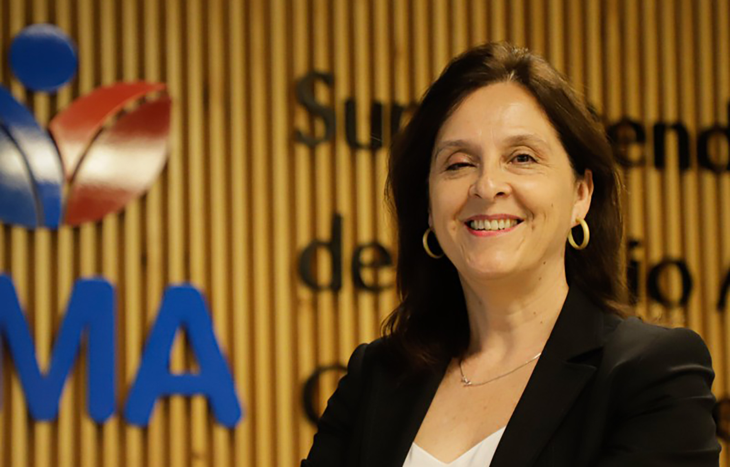 Chilean Superintendent of the Environment Marie Claude Plumer Bodin