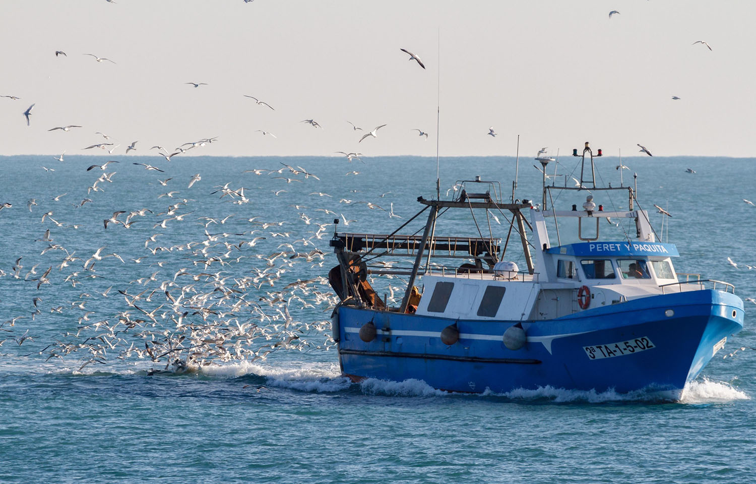 Industry groups claim Mediterranean fishing proposal threatens coastal communities