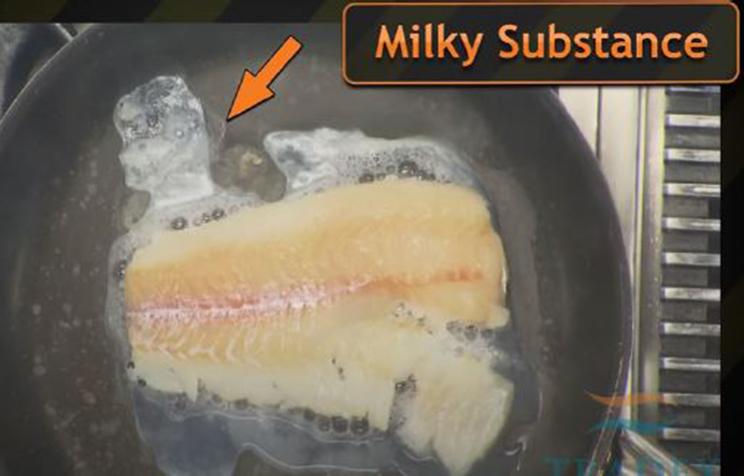 An image taken from the complaint against Conagra alleging overglazing of its frozen seafood products