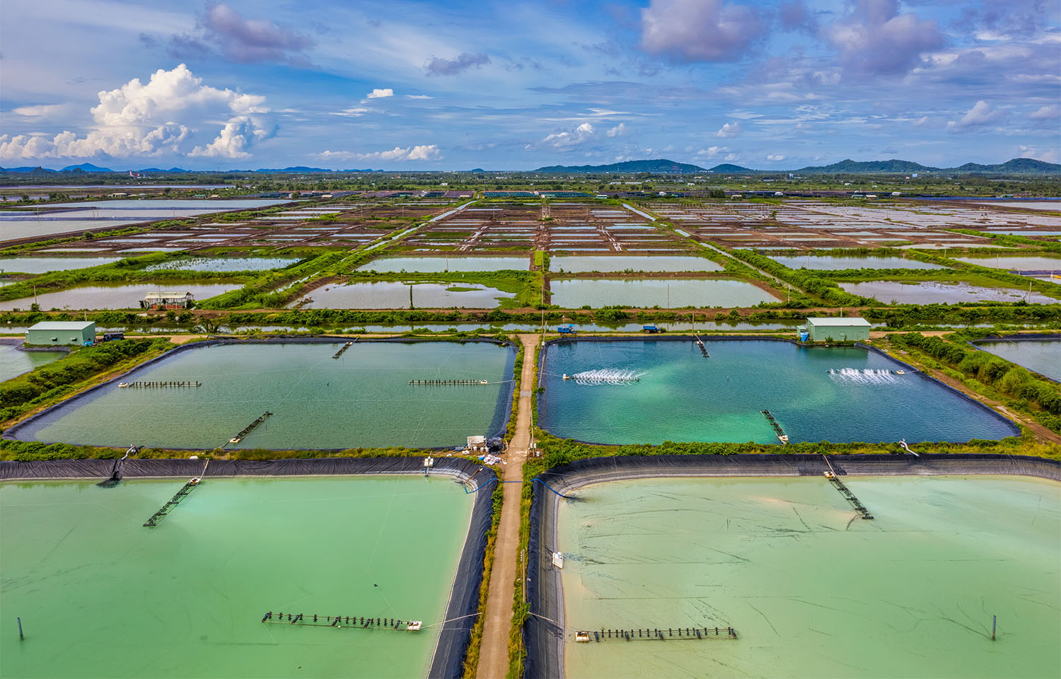 US Department of Commerce launches more antidumping and countervailing investigations into foreign shrimp