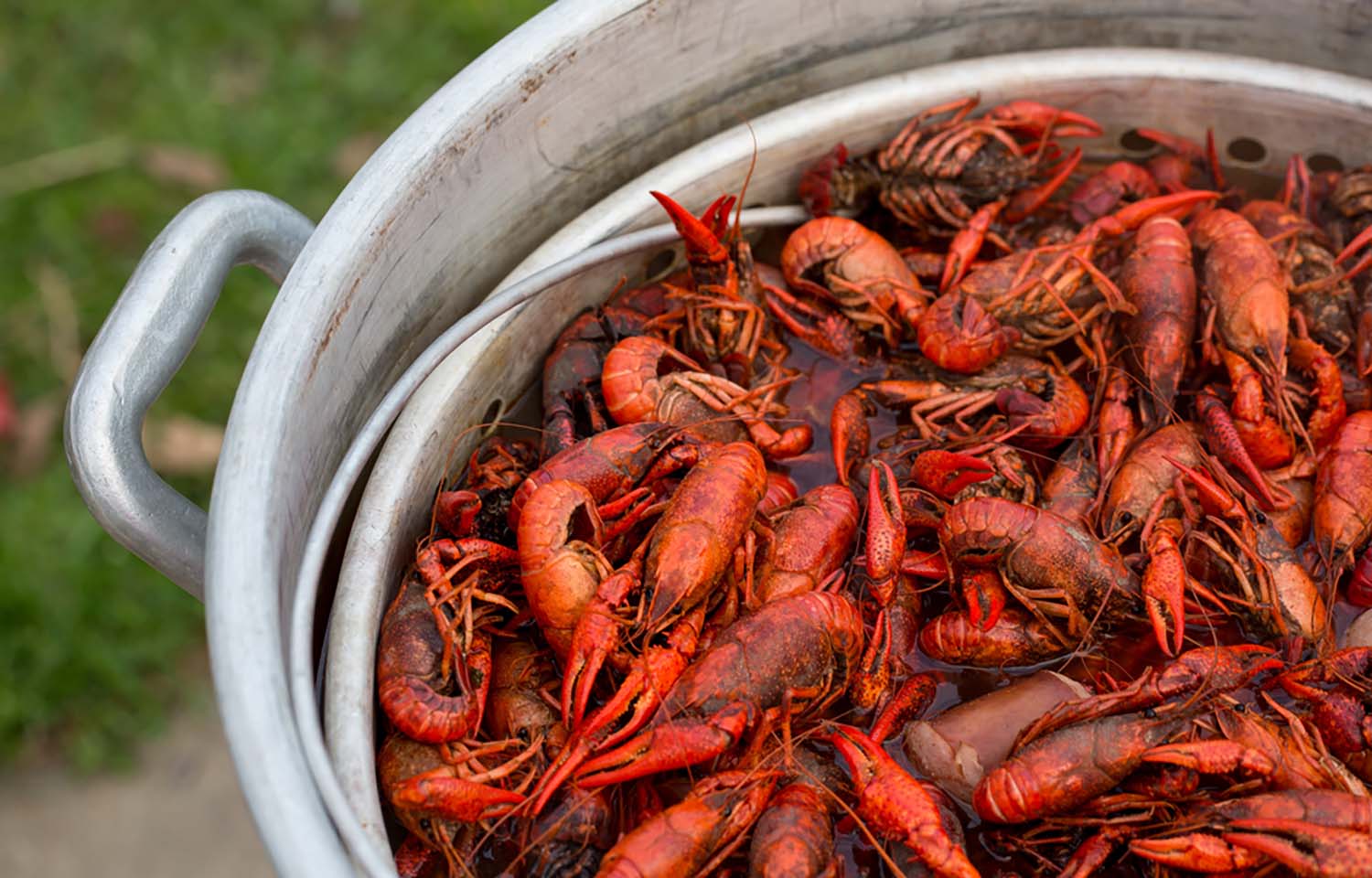A pile of crawfish boiling in a pot