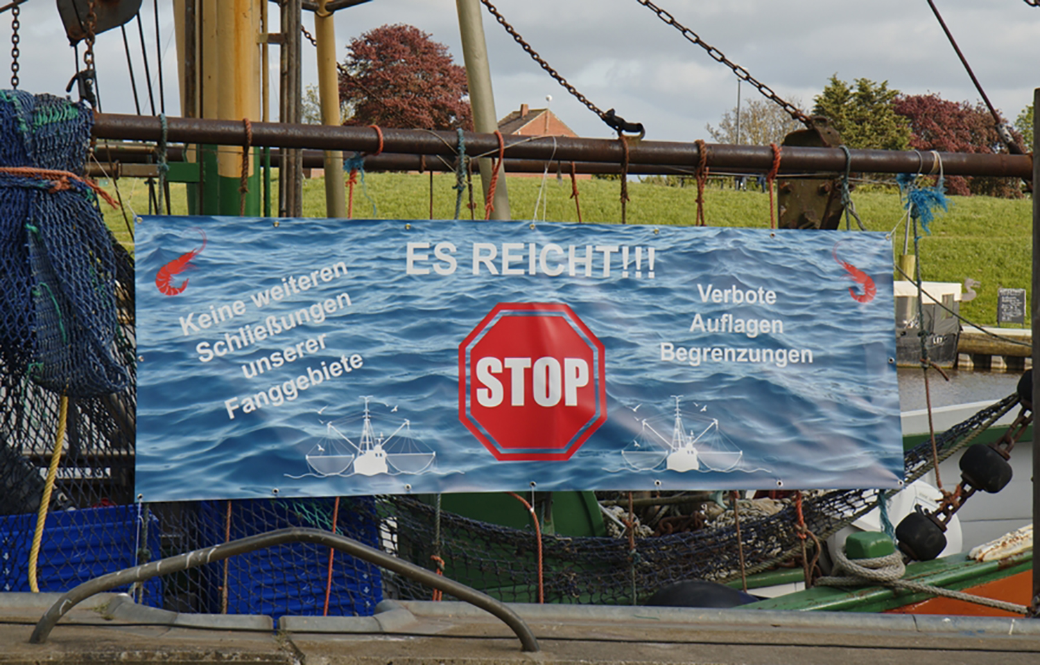 Bottom trawling delivers EUR 16 billion annual “net loss” to Europe, National Geographic-backed study finds