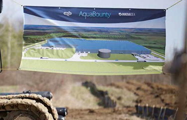 A banner showing the planned AquaBounty Technologies salmon RAS hung at Pioneer, Ohio construction site.