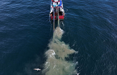 A scampi trawler in the U.K.