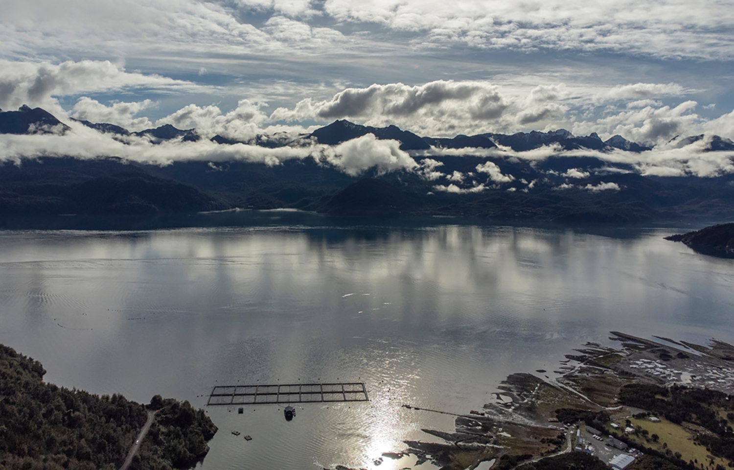 Chilean salmon industry pushes back against exposé in The Guardian