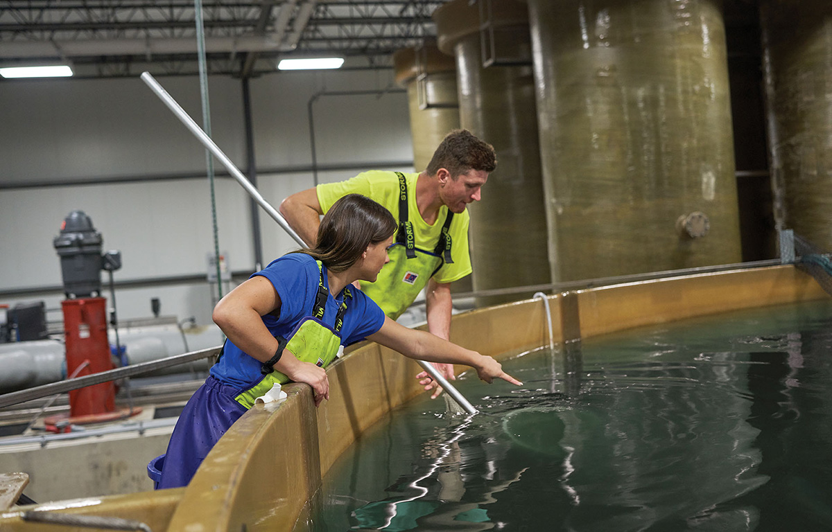 An AquaBounty RAS facility.