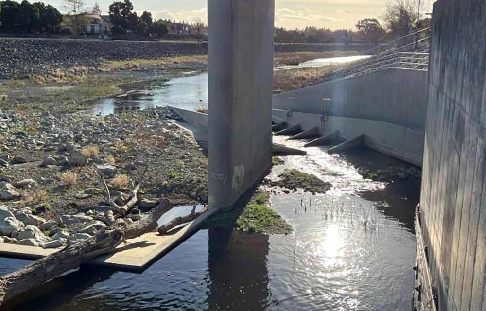 New fish ladders on Alameda Creek in the Bay Area