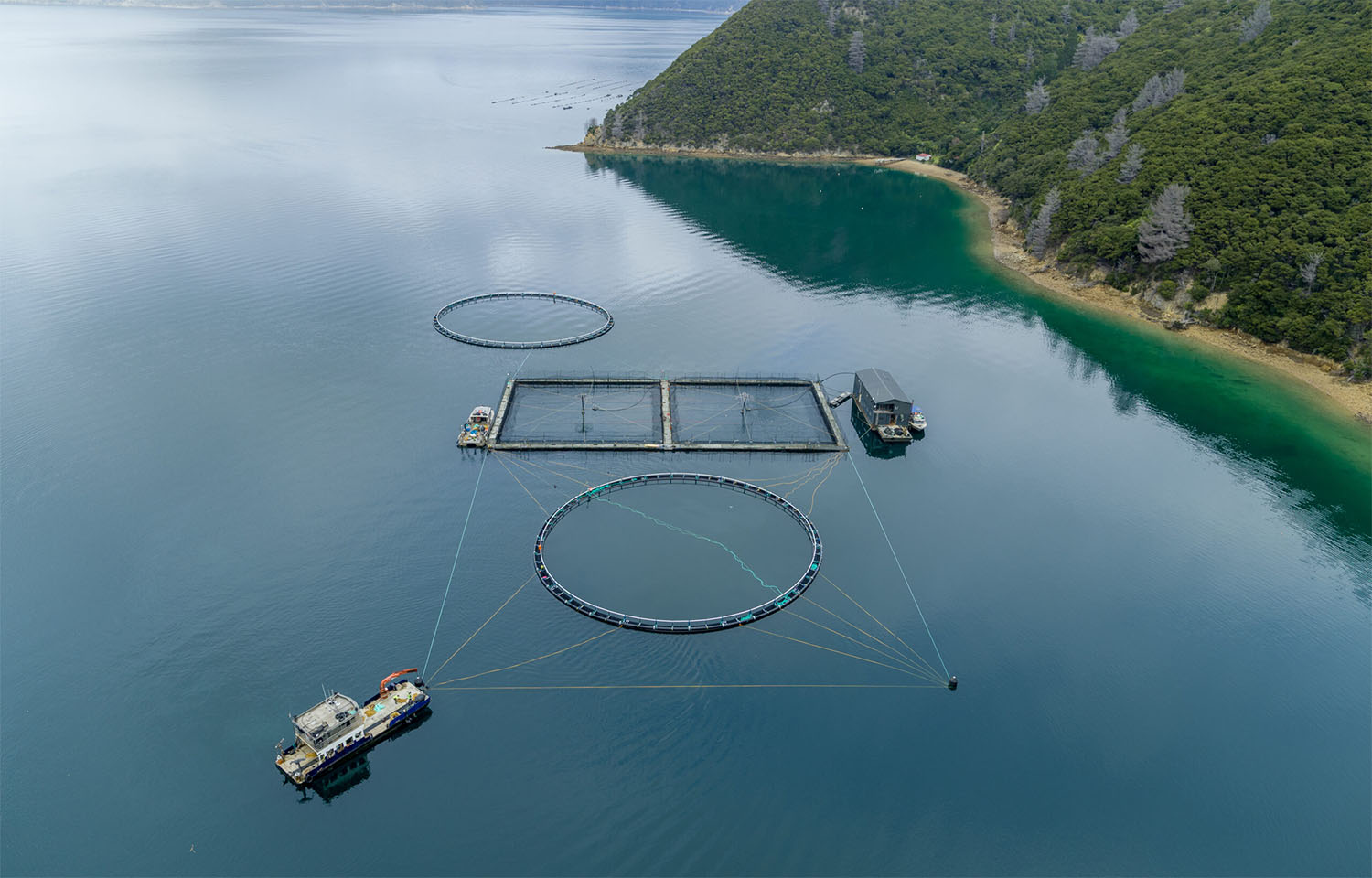 An aerial view of one of New Zealand King Salmon's salmon farms