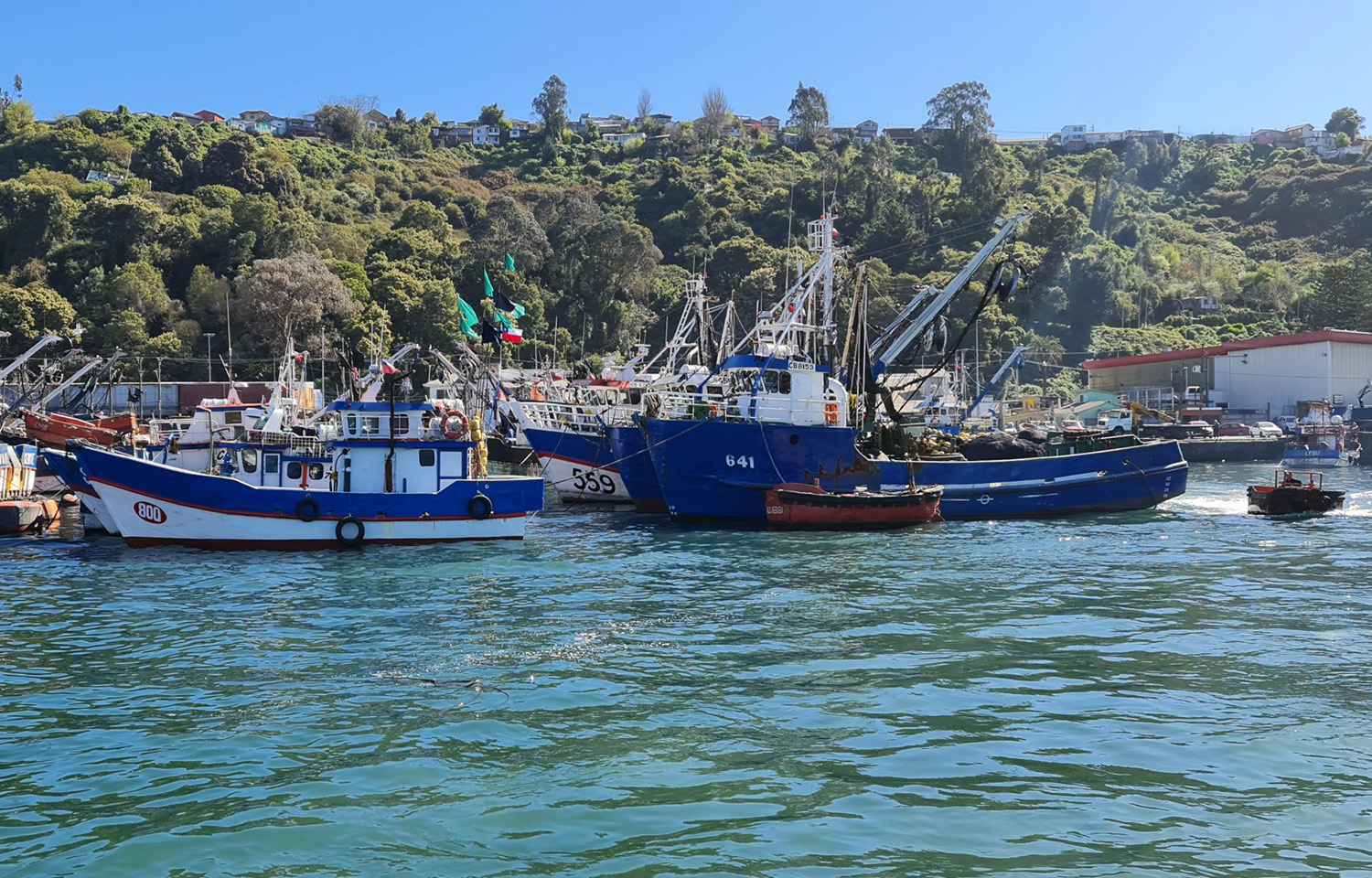 Alimar joins list of Chilean firms suing the government over fishing law