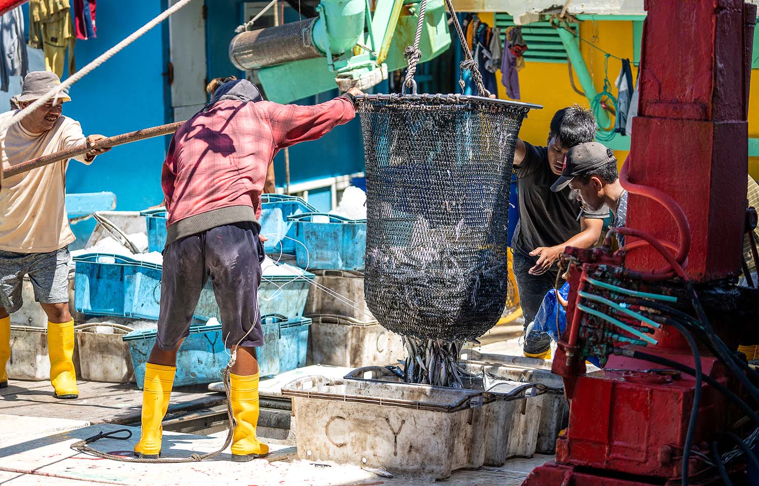 NGO report highlights gaps in SIMP in push for further expansion of program