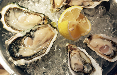 US FDA issues health alert on Dai One Food oysters due to potential ...