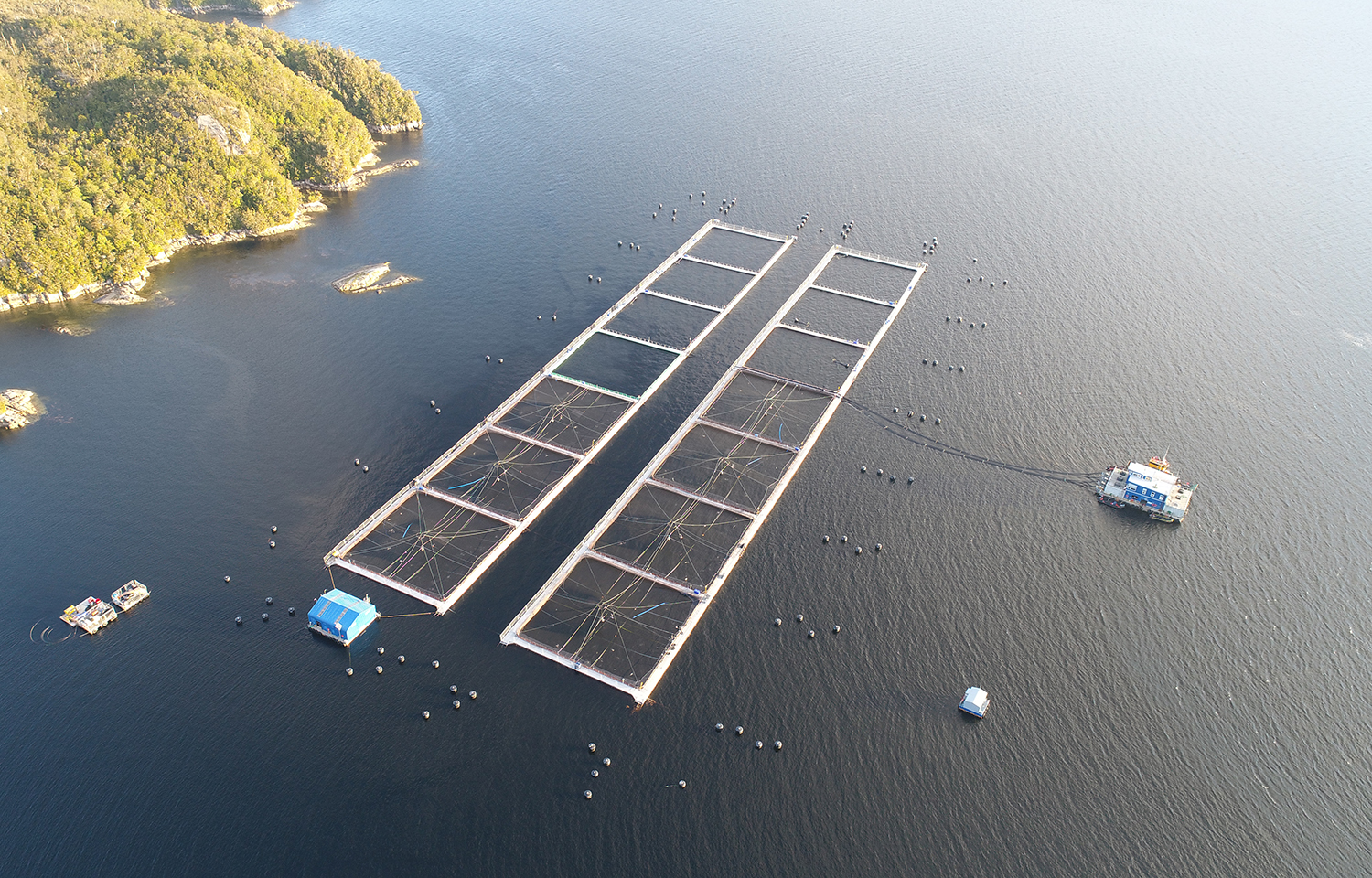 An aerial shot of a Chilean salmon farm