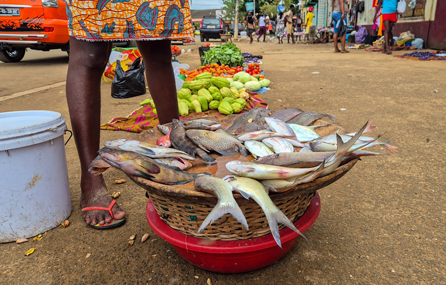 São Tomé and Príncipe secures USD 22 million grant for fishery supply chain improvements