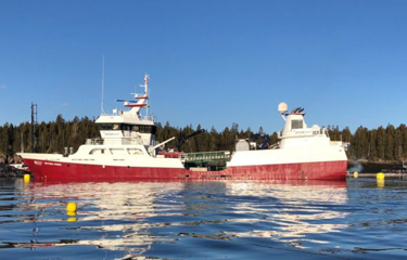 Mowi has experienced mass mortality events at several of its salmon-farming sites in Canada and Ireland.