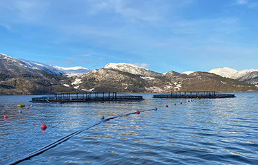 A Gadus Group aquaculture operation in Norway.