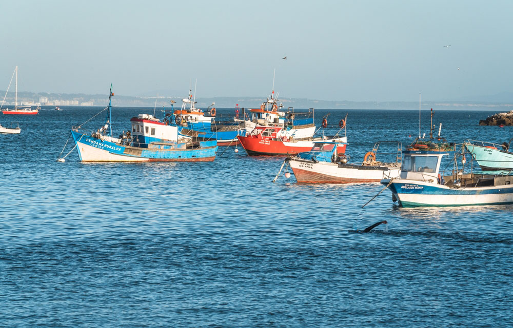 European Commission interested in simplifying funding for fisheries and aquaculture
