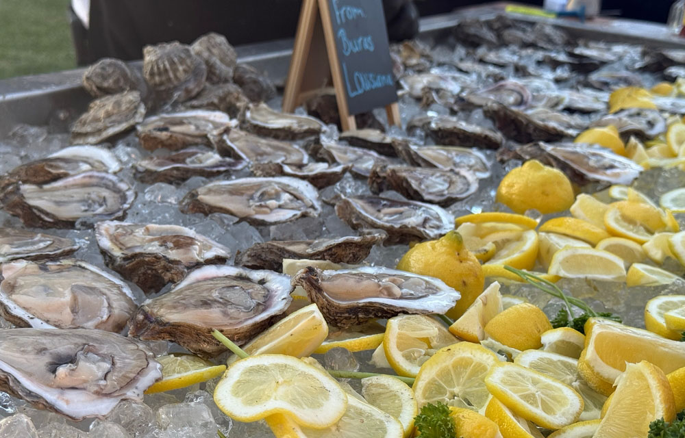 oysters