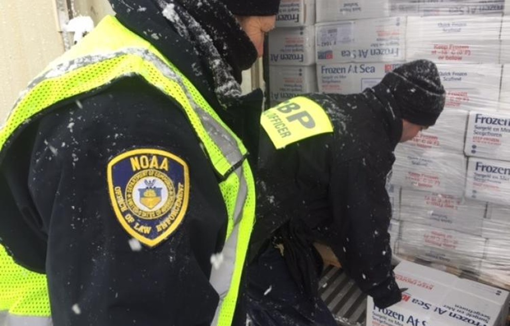 FAO study estimates 20 percent of seafood is subject to fraud