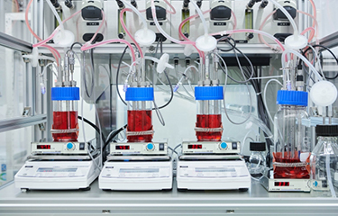 The lab-growing process used by IntegriCulture Inc., one of the companies involved in cell-based seafood production.