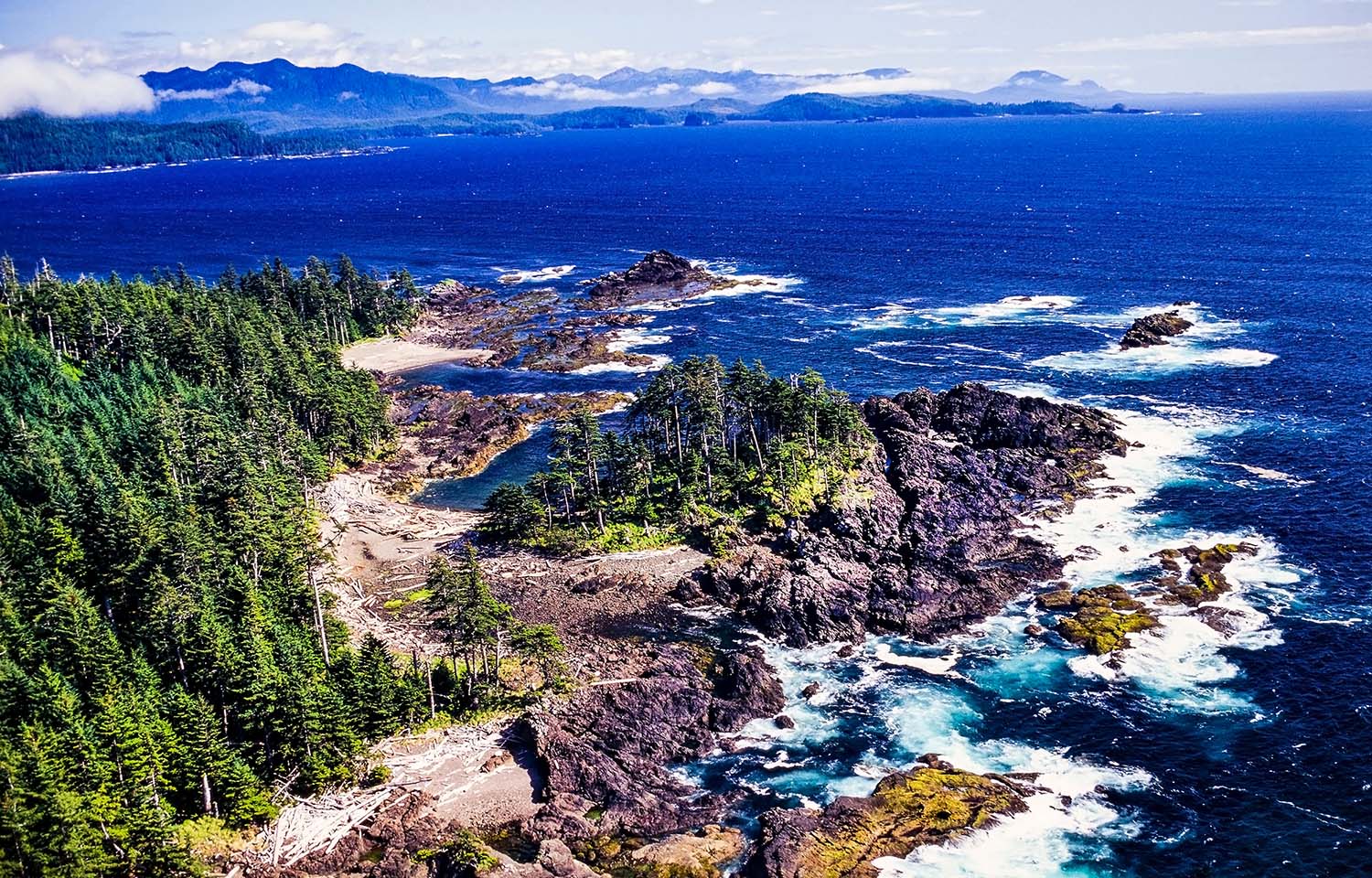 Canada announces new Indigenous-led marine refuges off British Columbia coast