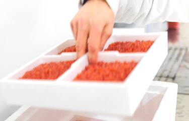 Benchmark Holdings has raised USD 27.6 million through a share issue ahead of a listing on the Oslo Stock Exchange following a positive fiscal year.