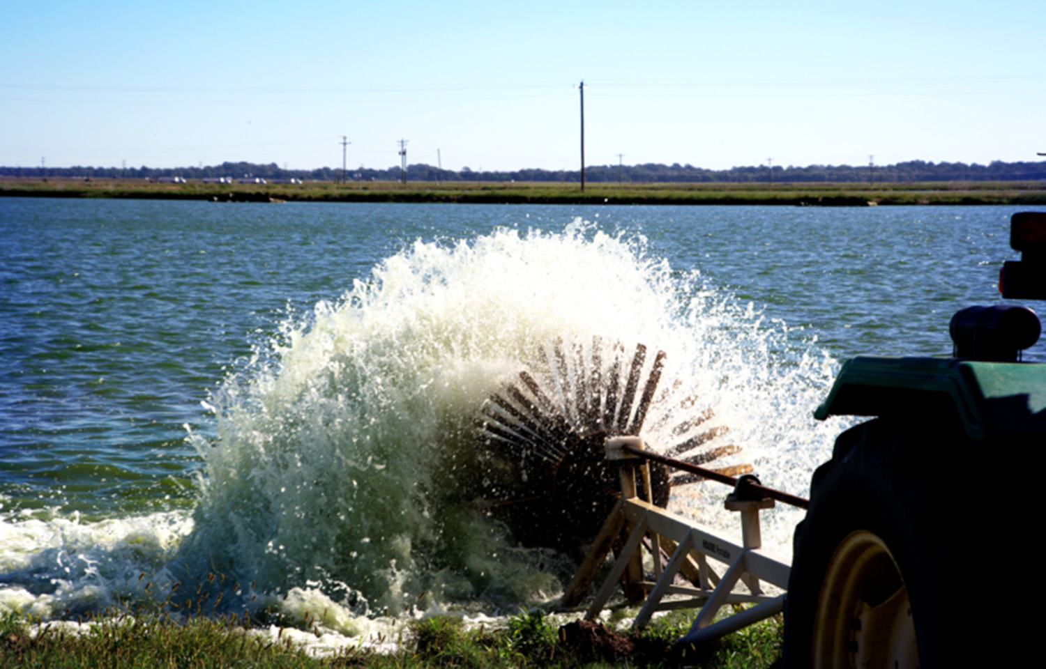 A Heartland Catfish farm