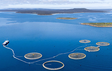 Clean Seas aquaculture facility in Australia